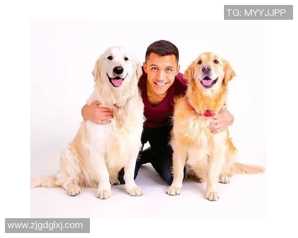 玩足球明星卡的价值分析与投资潜力探讨