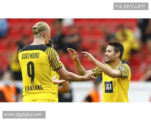 哈兰德:从天才少年到足球巨星的崛起之路与未来展望 哈兰德:从天才少年到足球巨星的崛起之路与未来展望