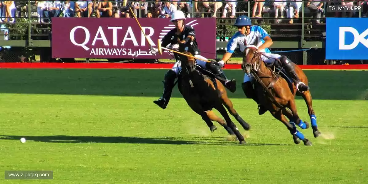 🏅荣耀见证,每一份汗水都值得铭记!🎉